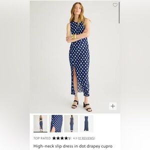 NWT J. Crew Cupro Dot Dress
